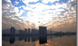 珠海前山河最新爆料,最新爆料揭示城市生态新篇章”