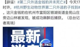 最新辽阳爆料事件新闻,揭秘背后真相与争议焦点