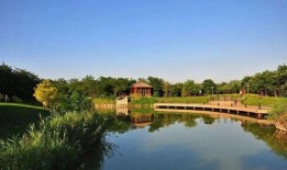 天津公园爆料最新消息,神秘事件引发热议，真相即将揭晓！