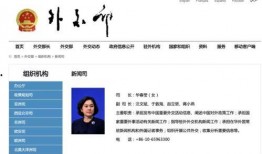 蒋小燕最新爆料新闻,揭秘娱乐圈惊人内幕！