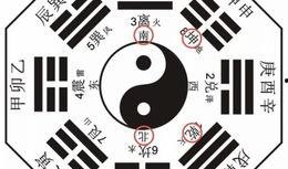 八卦语音文字爆料大全最新,揭秘娱乐圈最新动态与幕后故事